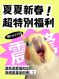 開春新優惠💵不必多說直接降價⛏